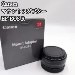 Item thumbnail for item 8a2ce7d6-4f2f-4573-a919-670a156fc076