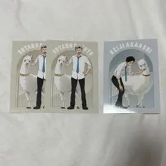 ハイキュー 東武動物公園 特典 ポストカード 木兎光太郎 赤葦京治