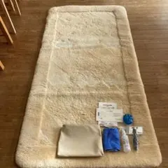 お値下げ フランスベッド エクセルフューマンユラックスα 家庭用温浴