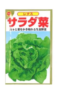 AO(ALO farm)様 リクエスト 2点 まとめ商品