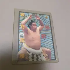 若乃花 トレーディングカード 1999年