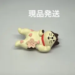 デコレ コンコンブル 桜みゃみれ猫