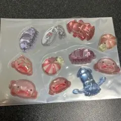 【ボンドロ】水族館限定おすそわけ、ボンボンドロップシール、国内正規品