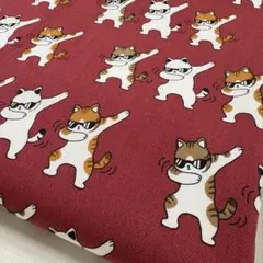 生地　ハギレ　ダンシング　猫　サングラス　レッド　　オックス