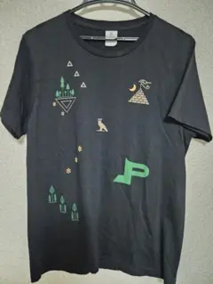 the pillows ミュージシャン