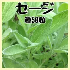 shiro様 リクエスト 2点 まとめ商品