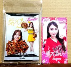 honeys ハニーズ タカコレ くじ ステッカー アクスタ yi-xin チア