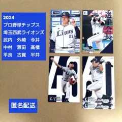 【埼玉西武ライオンズ】2024プロ野球チップス　選手カードセット