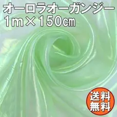 Item thumbnail for item 114c09df-44bc-46b7-9906-ce19da0a78fd