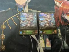 凍土の女王　ピアシィ　EVOLVE　2枚セット