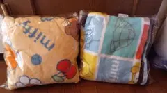 Item thumbnail for item 4d6568b7-6571-4037-9997-03fa4bf018c5