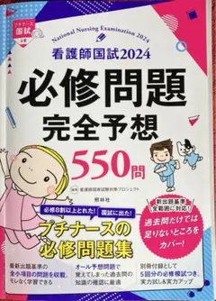 Item thumbnail for item 7baf335f-12bf-420b-8743-dca2f0b1b3ad