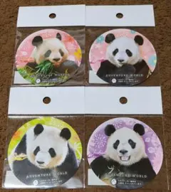 Item thumbnail for item a6419956-63d6-414c-aecb-7f1514bbe7b9