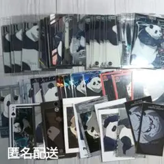 呪術廻戦 パンダ カードセット