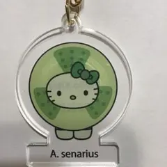 Item thumbnail for item b23d0a73-9e4f-42fc-a3c6-64ebb95707cc