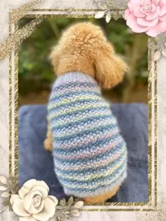 ストライプ模様のニット犬服 小型犬用・ブルー