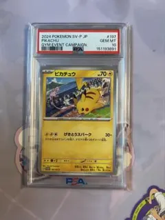 피카츄 2024 프로모 카드 PSA10 토끼 시리 PSA10 2장 세트