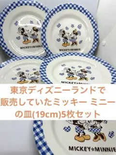 美品★ディズニーランドで販売していたミッキー ミニー の皿(19cm)5枚セット