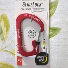 Item thumbnail for item 3c56b3ef-1ba7-43d3-8fa8-3cbbec0fd73d