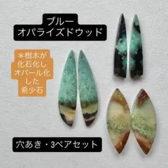 オパライズドウッド・他　天然石セット オパライズドウッド｜天然石アクセサリー通販のバクティ【bhakti】