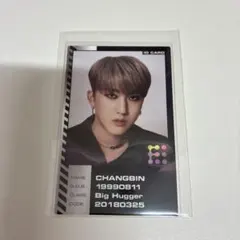 StrayKids チャンビン　トレカ　ODDINARY