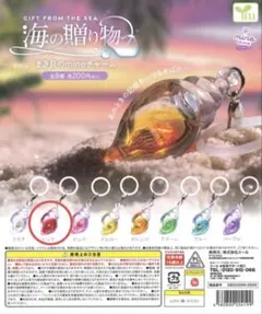 海の贈り物　まき貝チャーム　レッド　新品