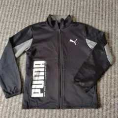 PUMA 吸湿速乾ジャージ上　150cm