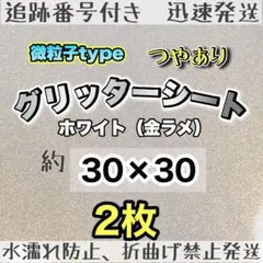 Item thumbnail for item c062d009-8583-4109-a70a-61d420d45902