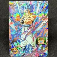 ゴジータ：BR BM6-ASEC SEC