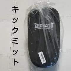 Item thumbnail for item 3c2cd144-a998-4626-ba1a-5602dc7a68c5