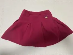 プティマイン スカパン 100