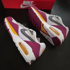 未使用❗W ナイキ Pー6000 25cm