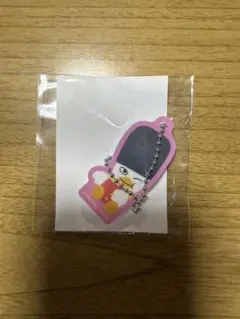 RIIZE ランダムトイ ソヒ マグネットアクリルチャーム