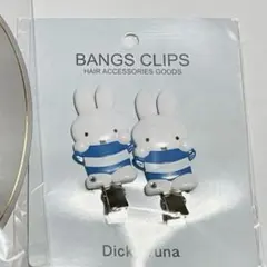 Item thumbnail for item 3c4bfefd-c73d-4ea8-b77f-8c2f936f7f7e