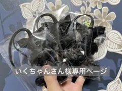 いくちゃんさん様専用ページ