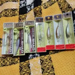 RAID JAPAN LEVEL SHAD 2個セット - メルカリ
