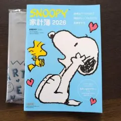 Item thumbnail for item 3da58272-261d-4444-a498-35a7f33408b2