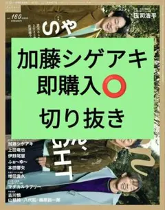加藤シゲアキ TVガイド Person 切り抜き vol.160 最新号