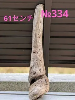 №334 アク抜き済流木　大型　爬虫類登り木のサムネイル