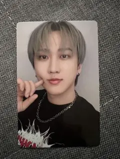 Stray Kids dominATE DVD 特典トレカ チャンビン