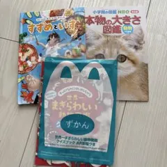 絵本、図鑑3冊セット