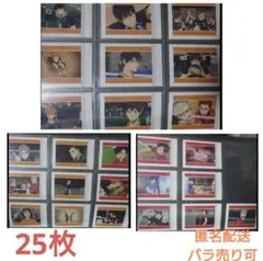 ゴミ捨て場の決戦 ぱしゃこれ