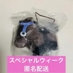 サラブレッドコレクション ぷちぬいぐるみ スペシャルウィーク