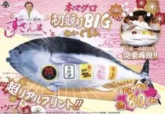 Item thumbnail for item 72157591-fa87-4876-bd96-f9c94962c79f