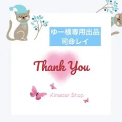 ゆー様専用出品 司命レイシリーズ