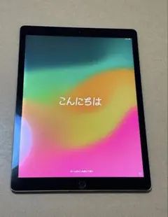 iPadPro 12.9インチ 64GB 第2世代 本体のみ