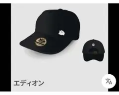 ぽこあポケモン キャップ メタモン