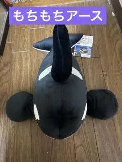 2025年最新】名古屋港水族館 アースの人気アイテム - メルカリ