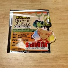 マルチマーカーコレクション ヒロアカ ホークス