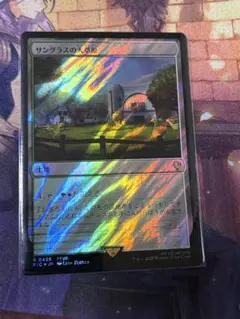 MTG サングラスの大草原 日本語 foil - メルカリ
